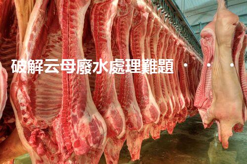 破解云母廢水處理難題？探尋綠色可持續(xù)發(fā)展之路！